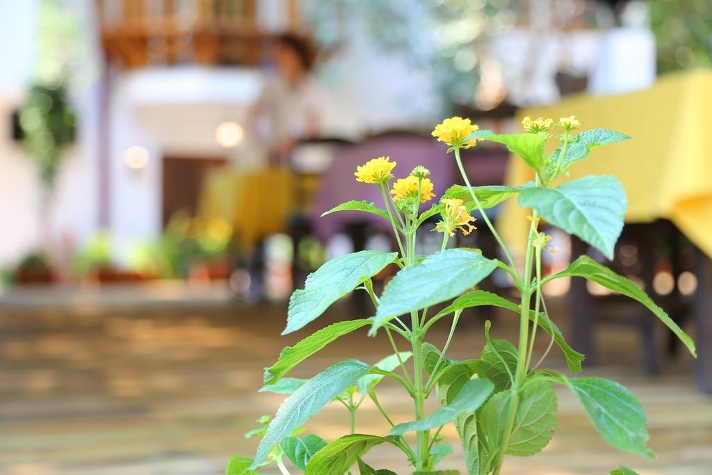 Akyaka Yali Capkini Hotel ภายนอก รูปภาพ